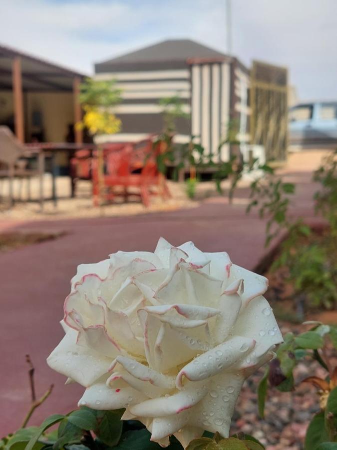 Wadi Rum Oryx Hostel & Tours Exterior photo